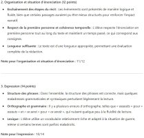 Commentaires pour la rédaction par l'IA